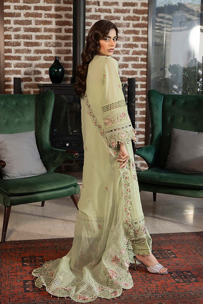 Raeesa Premium | Ezel | HS - 32