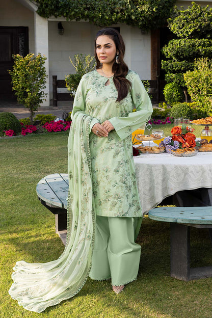 Noor E Fajar | Urwa | NF - 1428