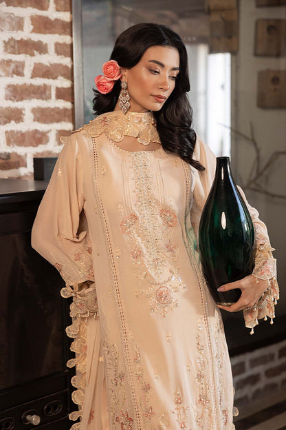 Raeesa Premium | Blush Radiance | HS - 35