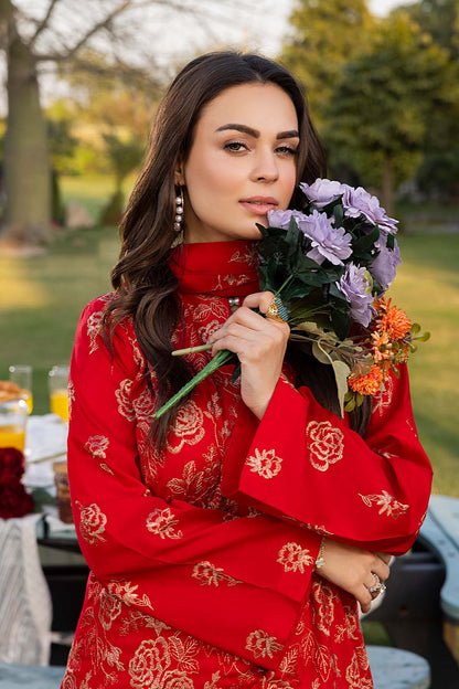 Noor E Fajar | Urwa | NF - 1431