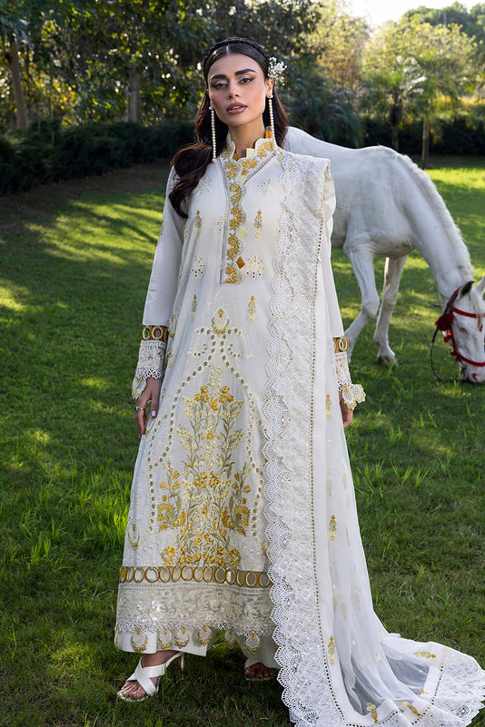 Raeesa Premium | Senorita Formals | SR-006 main image 0