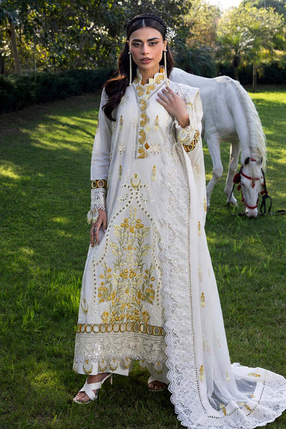 Raeesa Premium | Fuchsia | SR-002