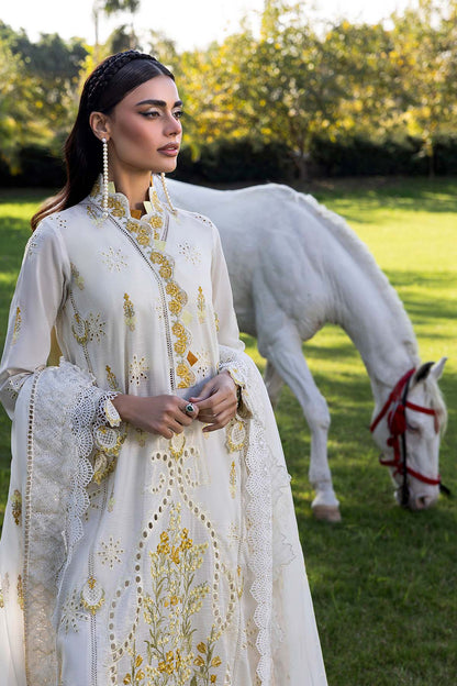 Raeesa Premium | Fuchsia | SR-002