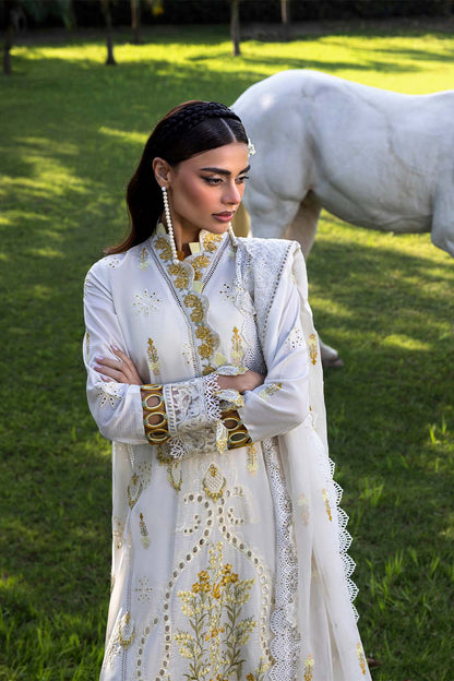 Raeesa Premium | Fuchsia | SR-002