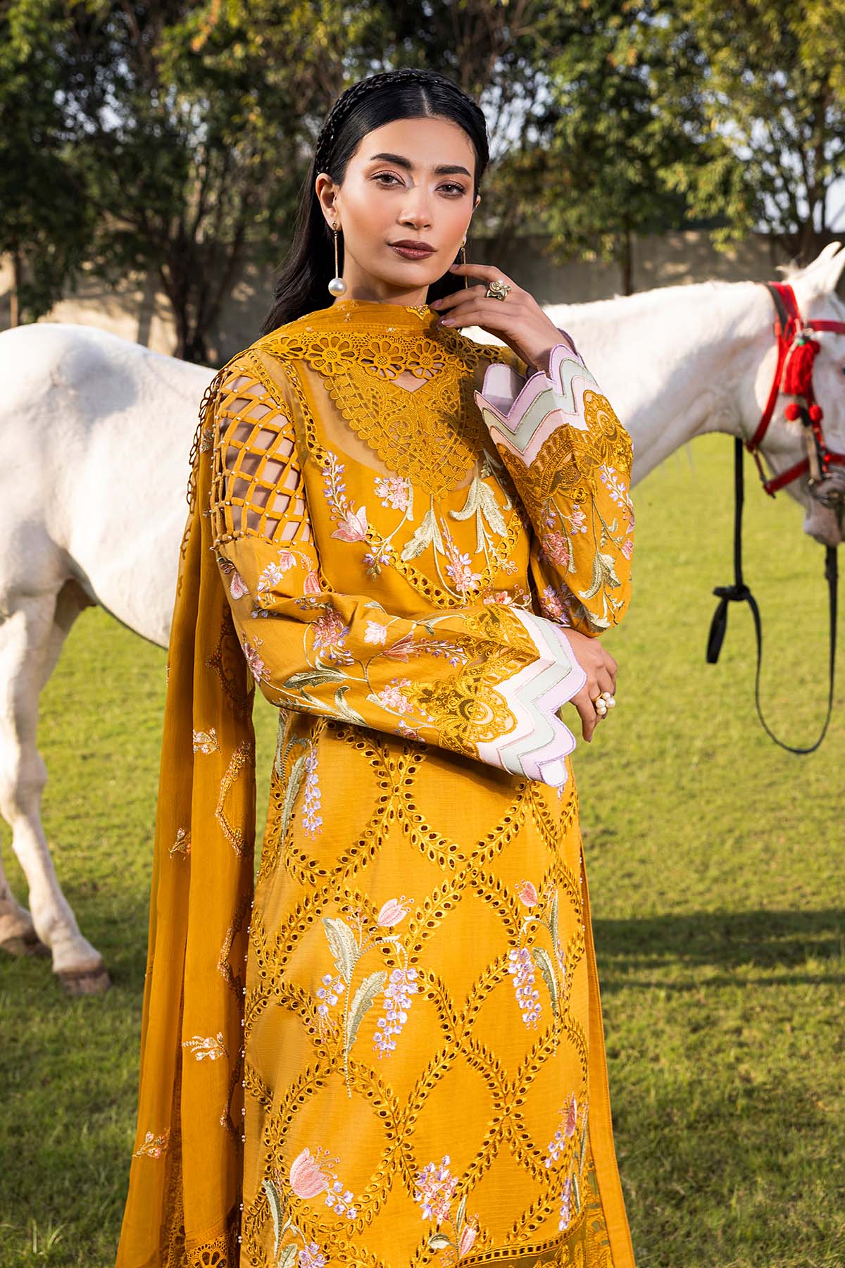 Raeesa Premium | Buttercup | SR-001