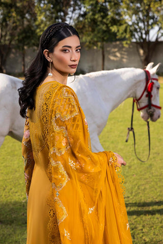 Raeesa Premium | Buttercup | SR-001