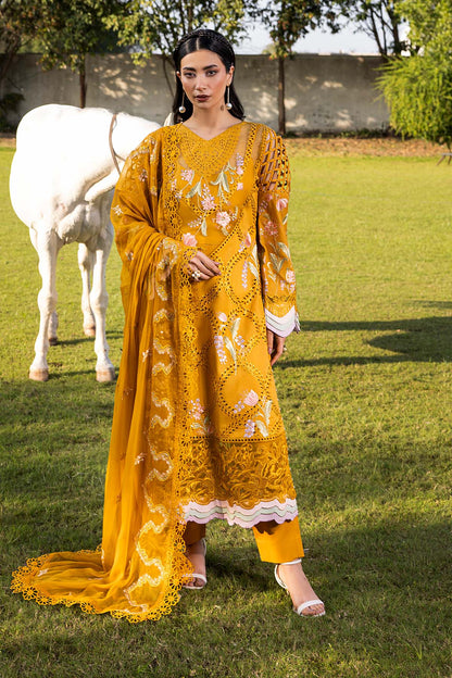 Raeesa Premium | Buttercup | SR-001