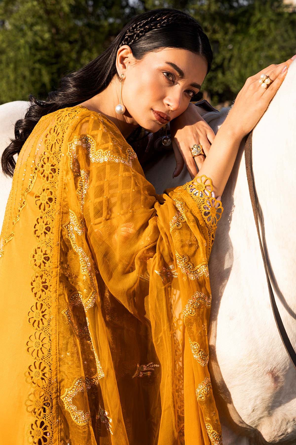 Raeesa Premium | Buttercup | SR-001