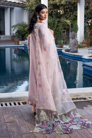 Raeesa Premium | Dahlia | SR-006