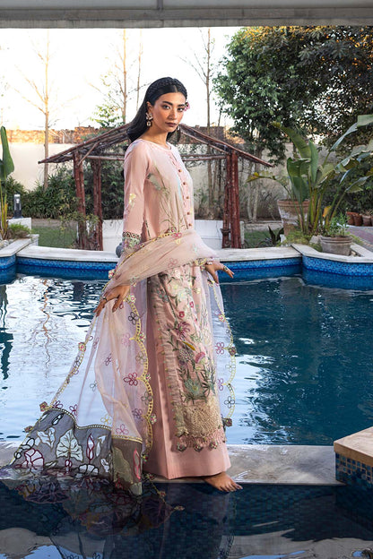 Raeesa Premium | Dahlia | SR-006