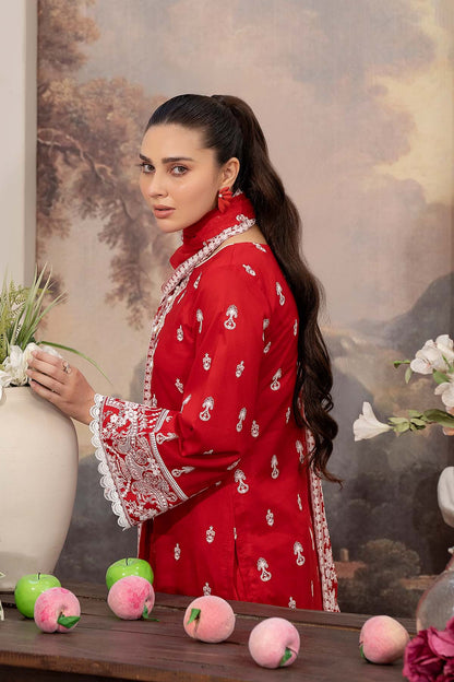 Noor E Fajar | Aafreen | NF - 1433