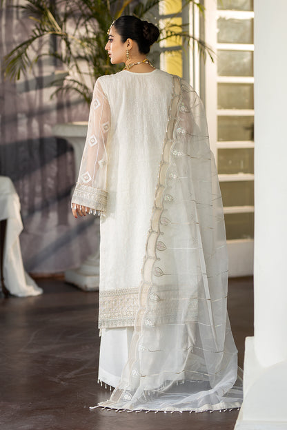 Raeesa Premium | DL-1021 Nigah