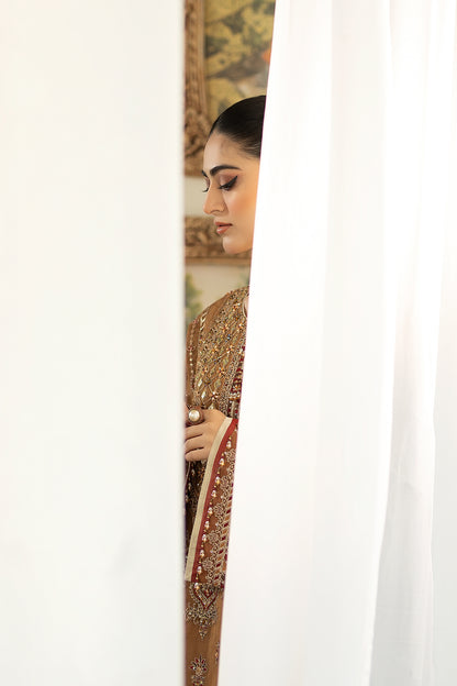 Raeesa Primium | DL-1025 Tarz -e- Zameen