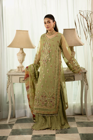Raeesa Premium | Dehleez 4 | Dl 1032