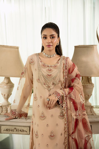 Raeesa Premium | Dehleez 4 | Dl 1037