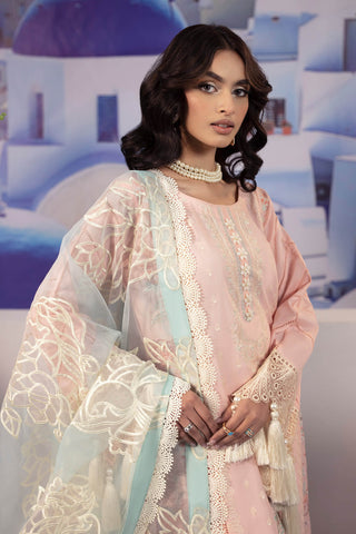 Raeesa Premium | Dahlia | DD-05