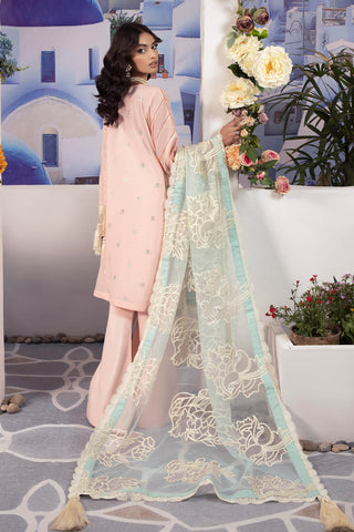 Raeesa Premium | Dahlia | DD-05