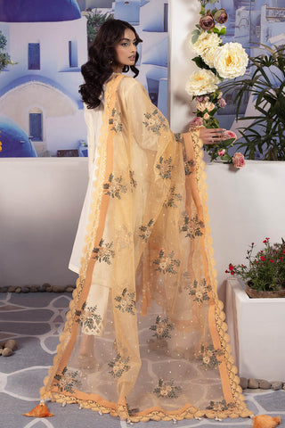 Raeesa Premium | Dahlia | DD-08
