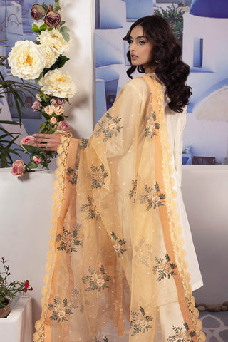 Raeesa Premium | Dahlia | DD-08