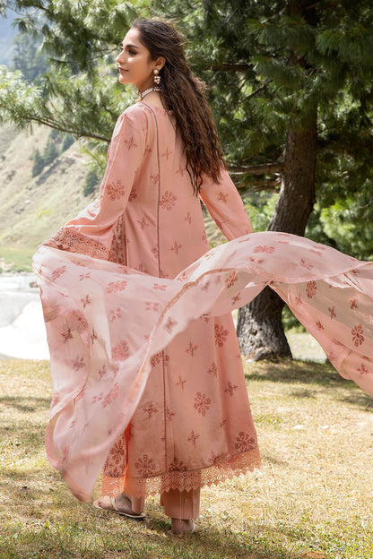 Raeesa Premium | Barbina KRS - 84