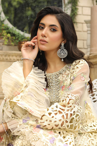 Raeesa Premium | Wajadan | WD-8 Ivory